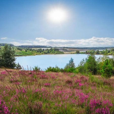 Landal Mooi زوتيندال المظهر الخارجي الصورة